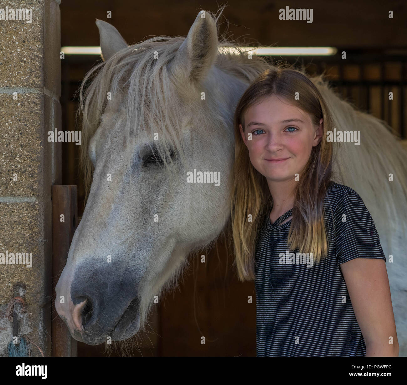 Le lien entre la jeune fille et le cheval Banque D'Images