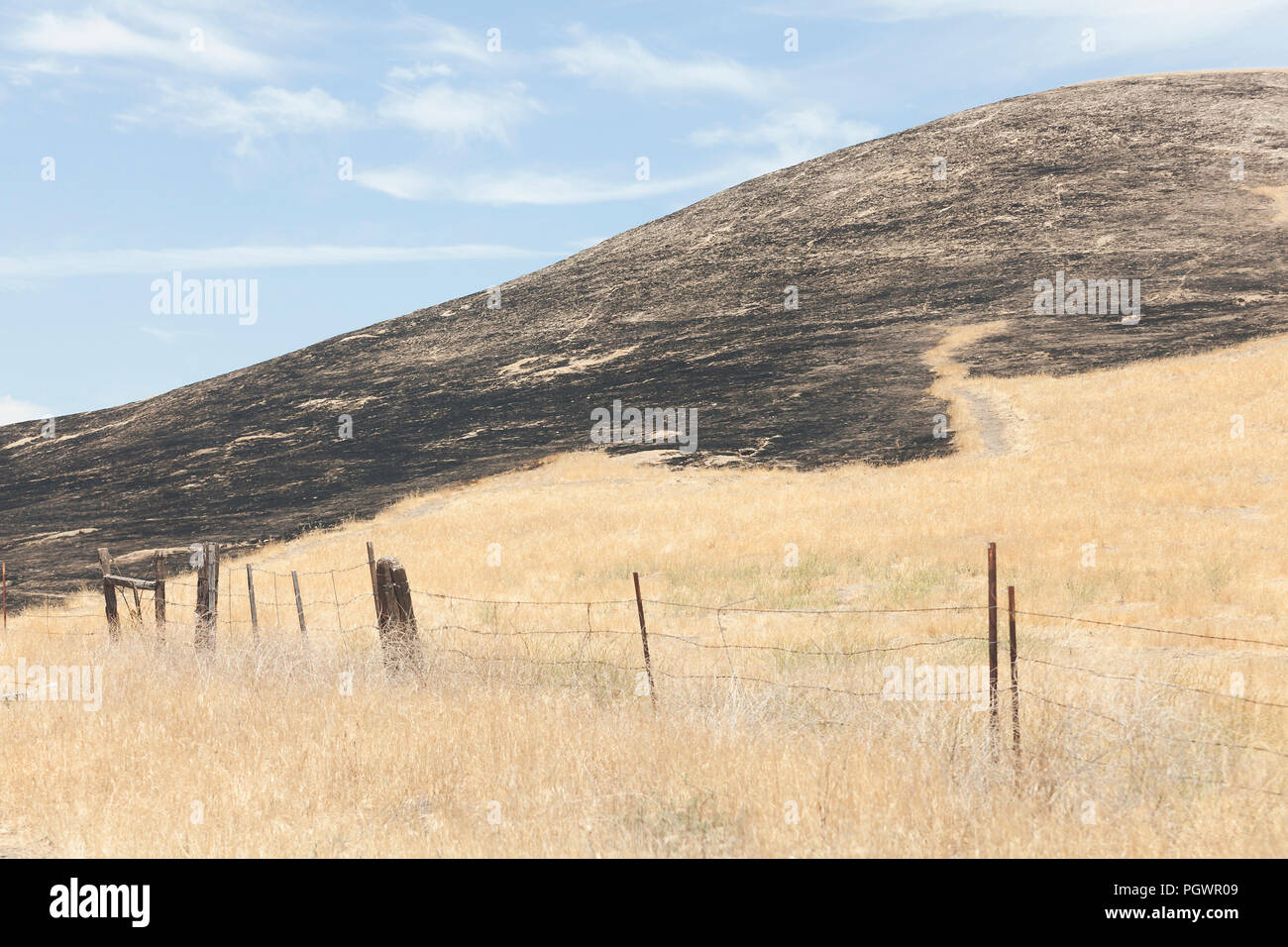 Combustion contrôlée (brûlage dirigé) de végétation sèche - California USA Banque D'Images