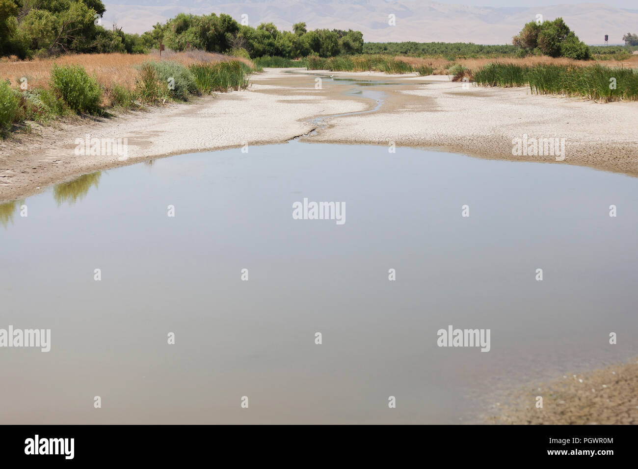 Près d'un ruisseau à sec lit (aka arroyo à sec, Dry Creek, lavage à sec, sec gulch) - San Joaquin River National Wildlife Refuge, California USA Banque D'Images