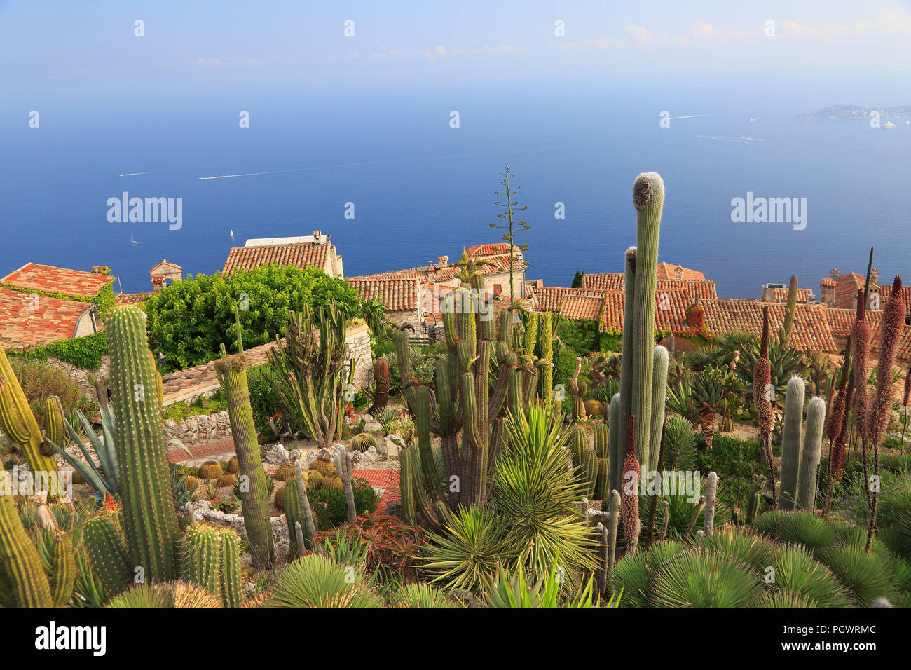 Jardin botanique d'Èze, avec divers cactus sur le premier plan, vue aérienne, d'Azur, à l'Europe Banque D'Images