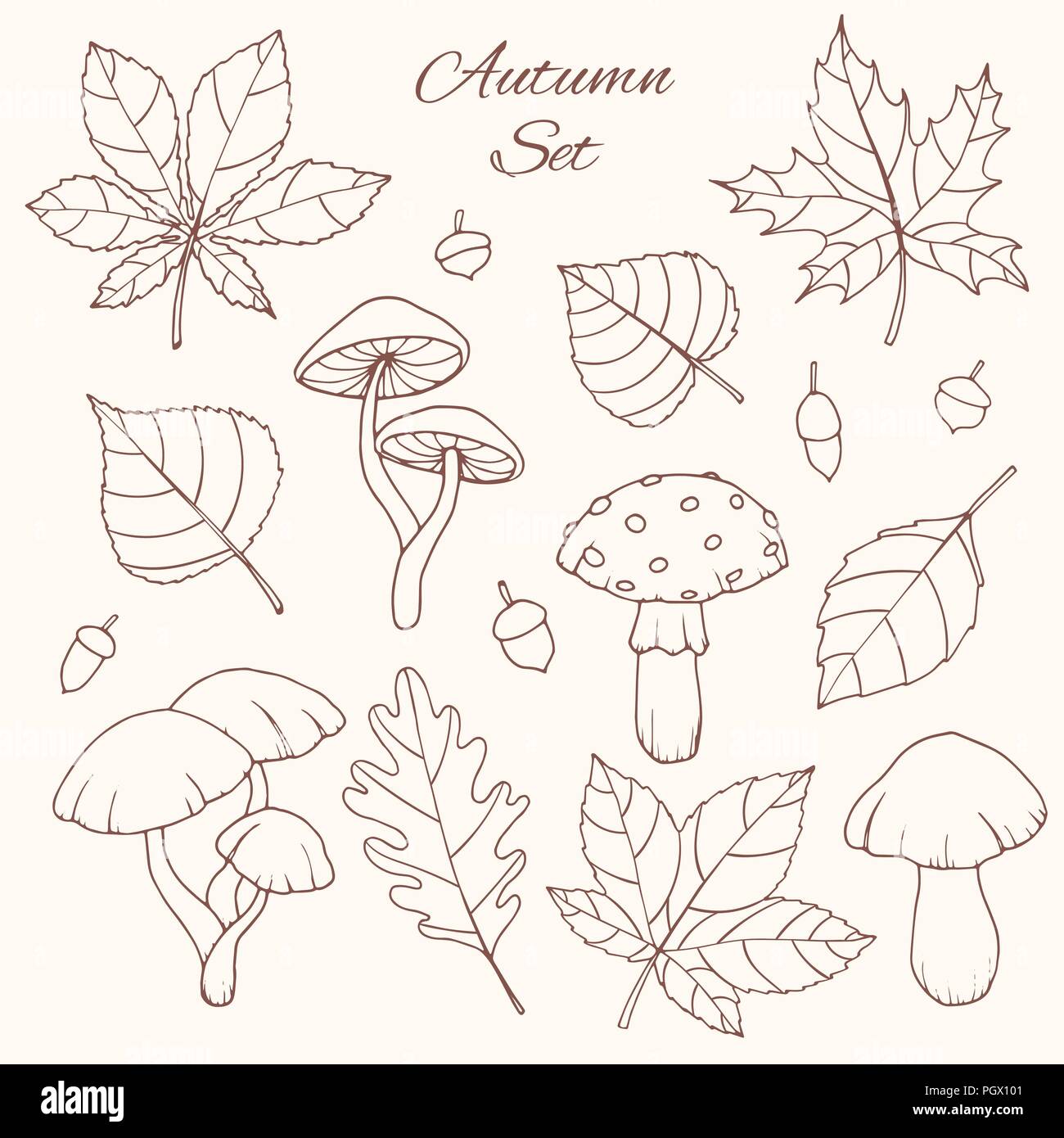 Hand drawn vector set d'automne avec le chêne, peuplier, hêtre, érable, de trembles et de feuilles de marronnier, les glands et les champignons isolés d'art de la ligne sur le dos blanc Illustration de Vecteur
