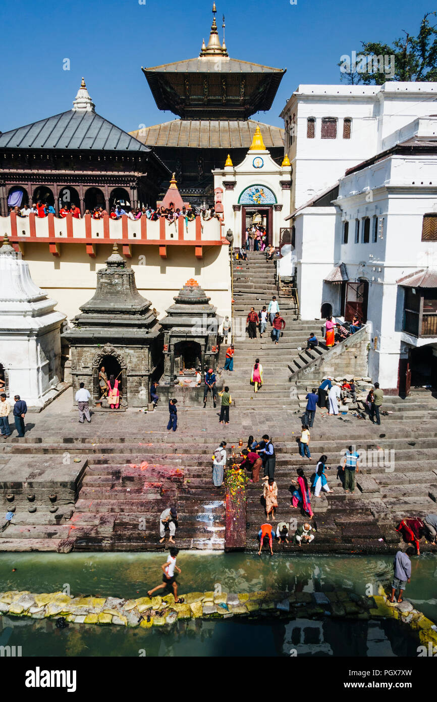 Temple de Pashupatinath, Vallée de Katmandou, Népal, Bagmati, l'Asie du Sud : vue générale de l'UNESCO World Heritage temple de Pashupatinath, le plus sacré des pl Banque D'Images