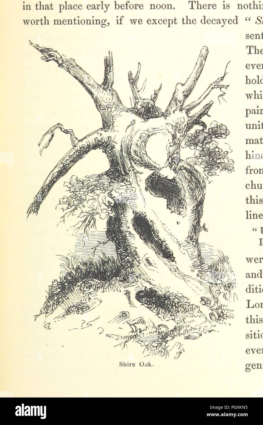 Libre à partir de la page 315 de "l'errance d'un stylo et crayon. Par F. P. Palmer et A. Crowquill. [Le texte par Palmer, les illustrations par Crowquill.]' . Banque D'Images