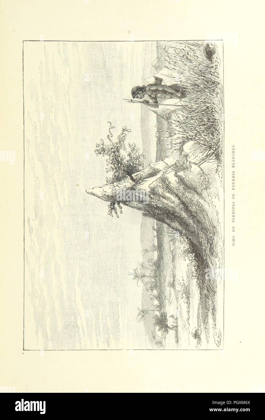 Libre à partir de la page 327 de "Conférences et lettres de P. Savorgnan de Brazza sur ses trois explorations dans l'Ouest africain, de 1875 à 1886. Ouvrage illustré de deux eaux-fortes, etc. (Texte publié et c0014. Banque D'Images