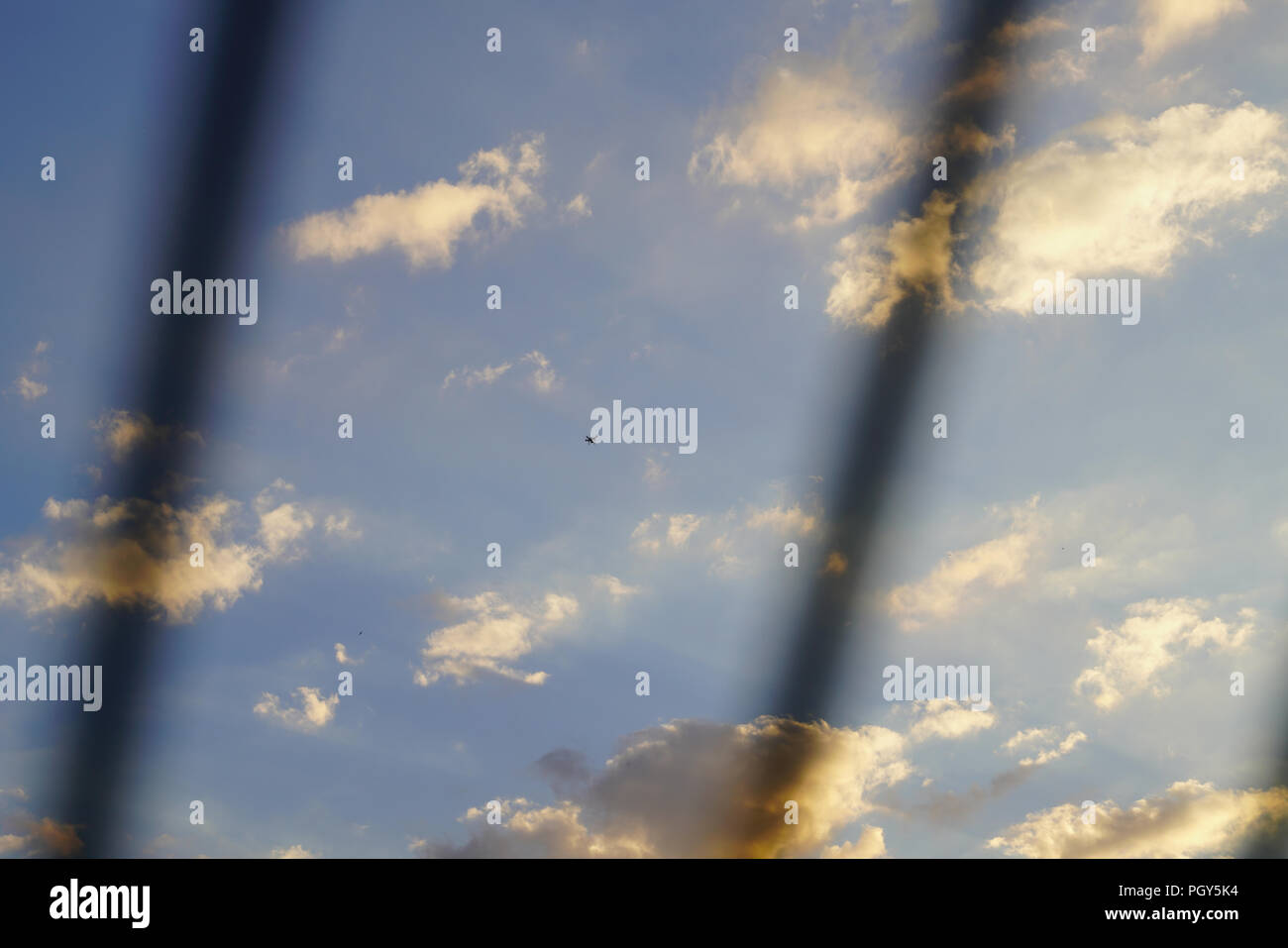 Silhouette bourdon voler contre ciel nuageux dans le coucher du soleil Banque D'Images