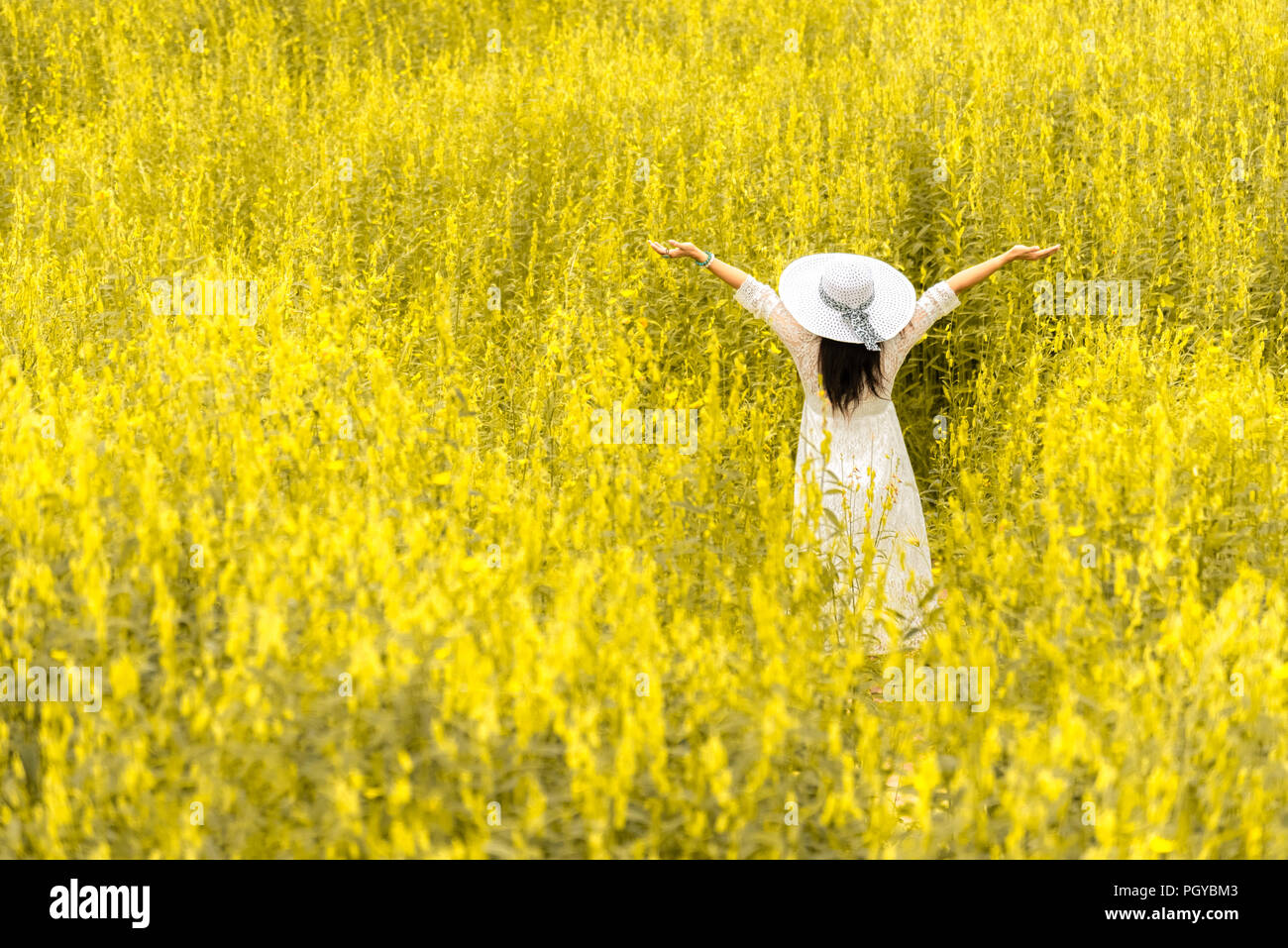 Vue arrière de l'aile blanche beauté femme avec chapeau et robe blanche dans le pré des fleurs. Les gens de la mode et concept. Thème Nature et détente. Le bonheur Banque D'Images