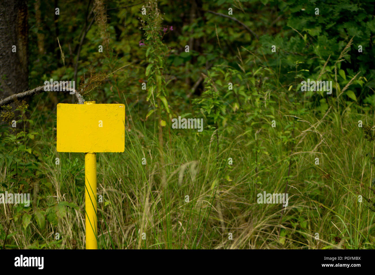 Un signe d'avertissement de couleur jaune en blanc au milieu de broussailles lonely permanent. Banque D'Images