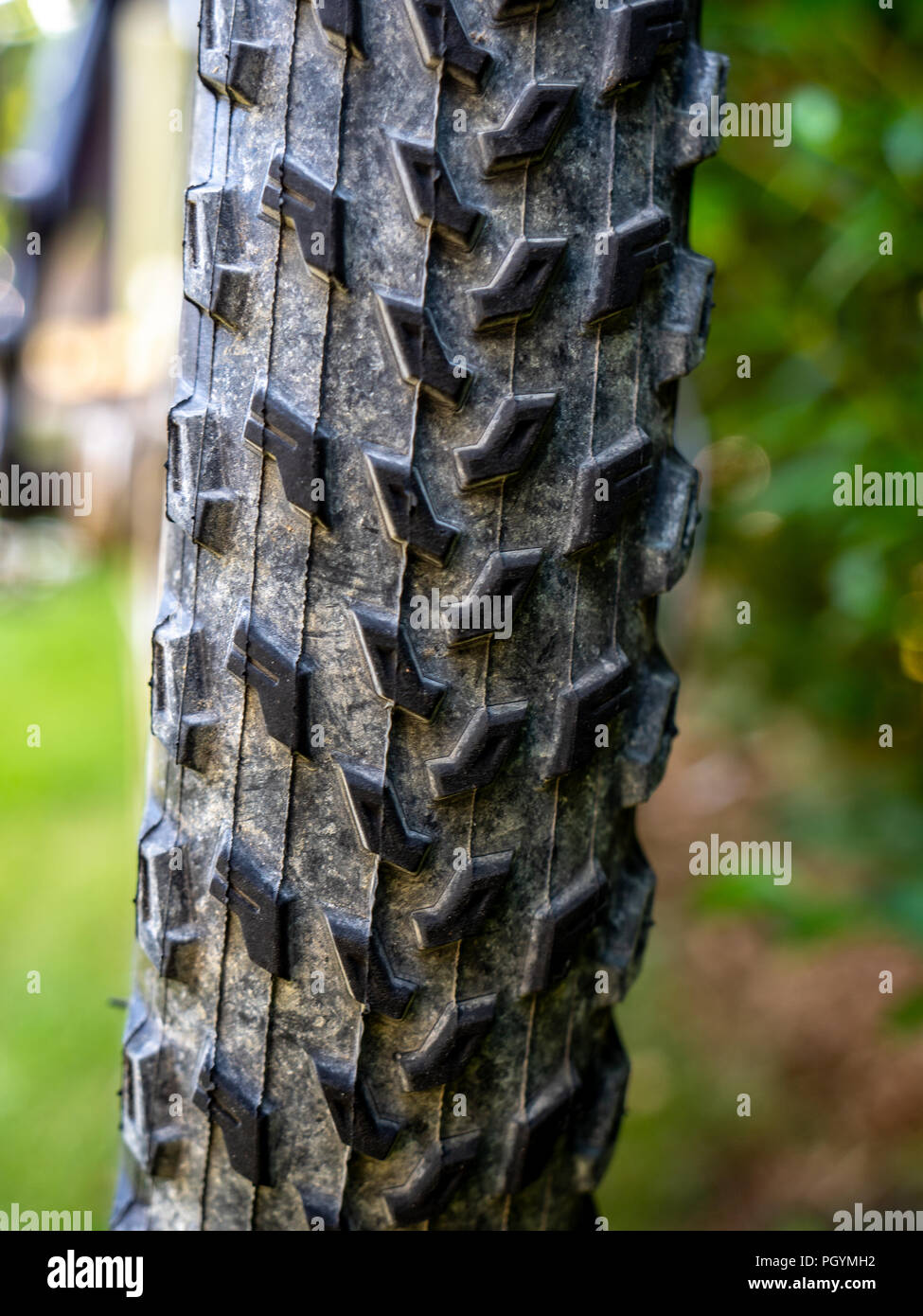 Portrait de profil de roue vtt sale de terre et de fond naturels Banque D'Images