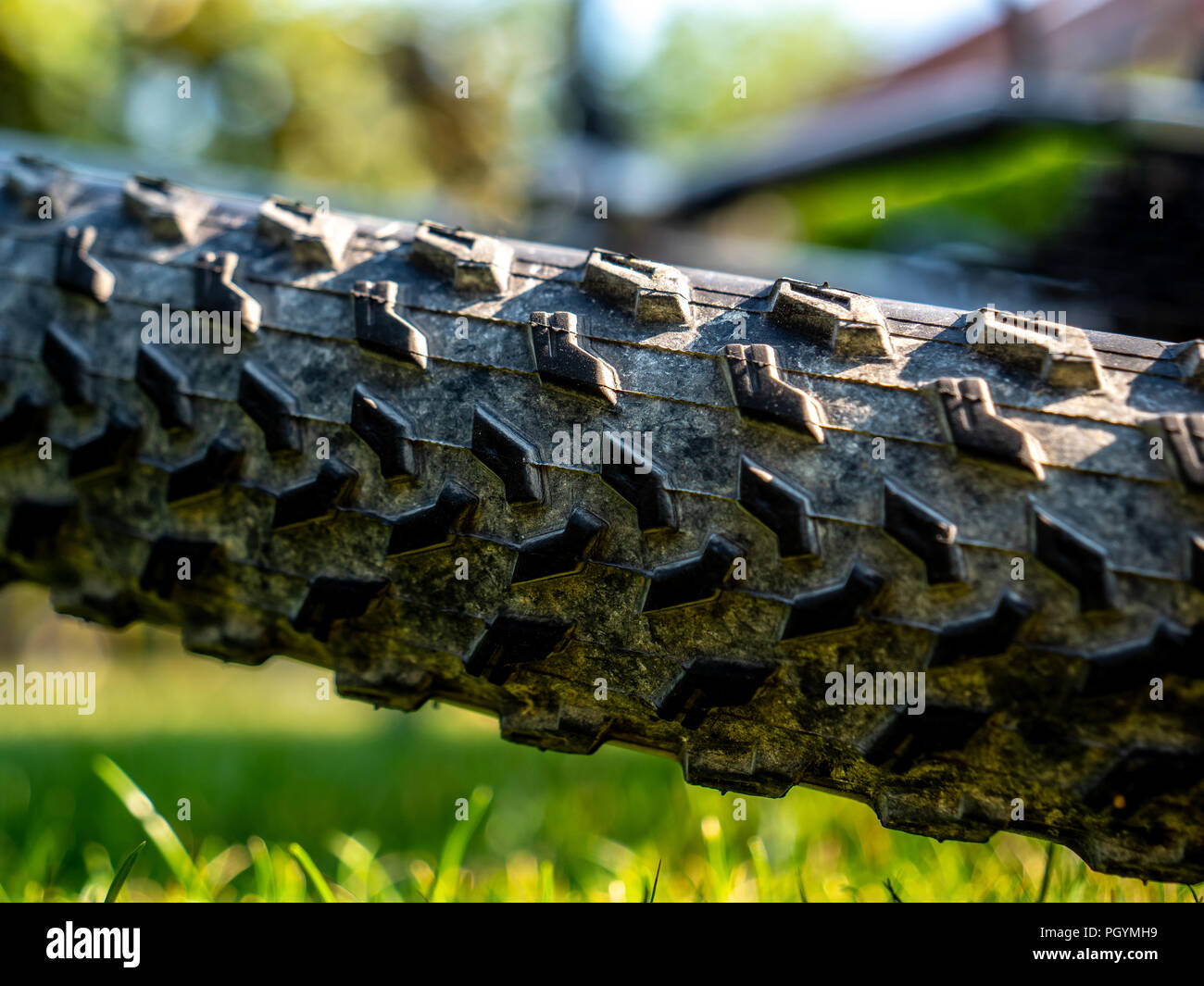 Portrait de profil de roue vtt sale de terre et de fond naturels Banque D'Images