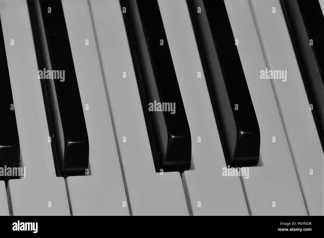 Touches du piano Banque D'Images