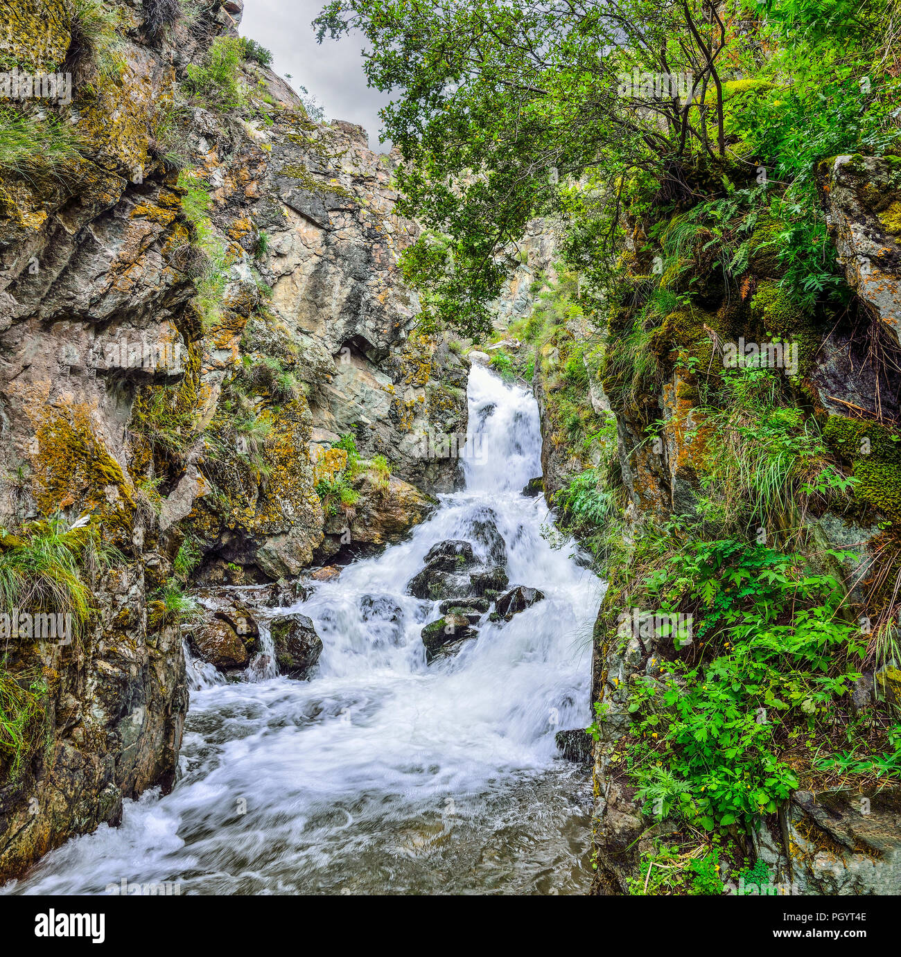 Mountain Creek avec chute d'eau coule sous les falaises de canyon entre rochers dans les montagnes de l'Altaï, en Russie - beau paysage d'été. La beauté de la na Banque D'Images