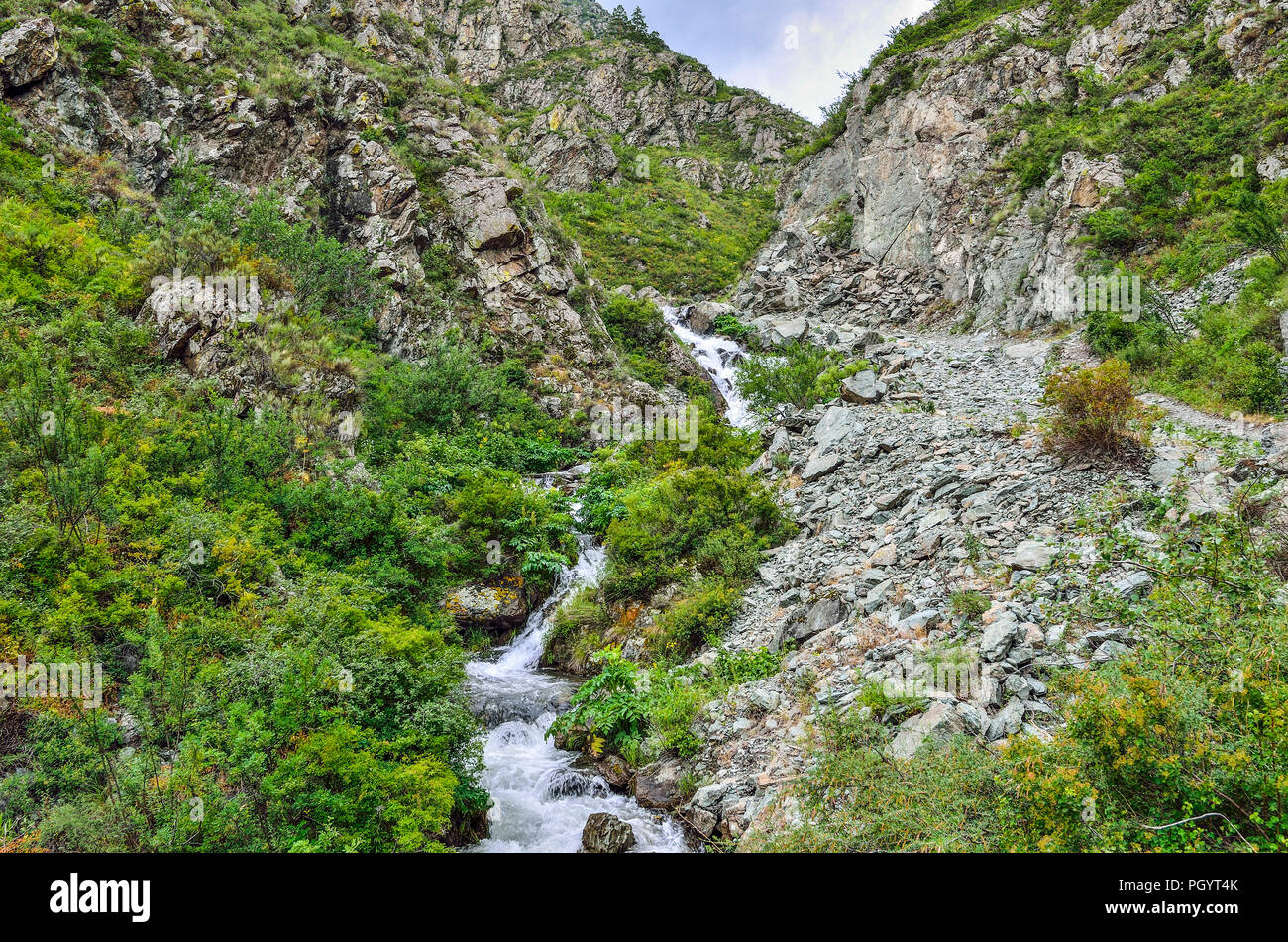 Mountain Creek coule sous les falaises de canyon entre rochers dans les montagnes de l'Altaï, en Russie - beau paysage d'été. Beauté de la nature sauvage Banque D'Images