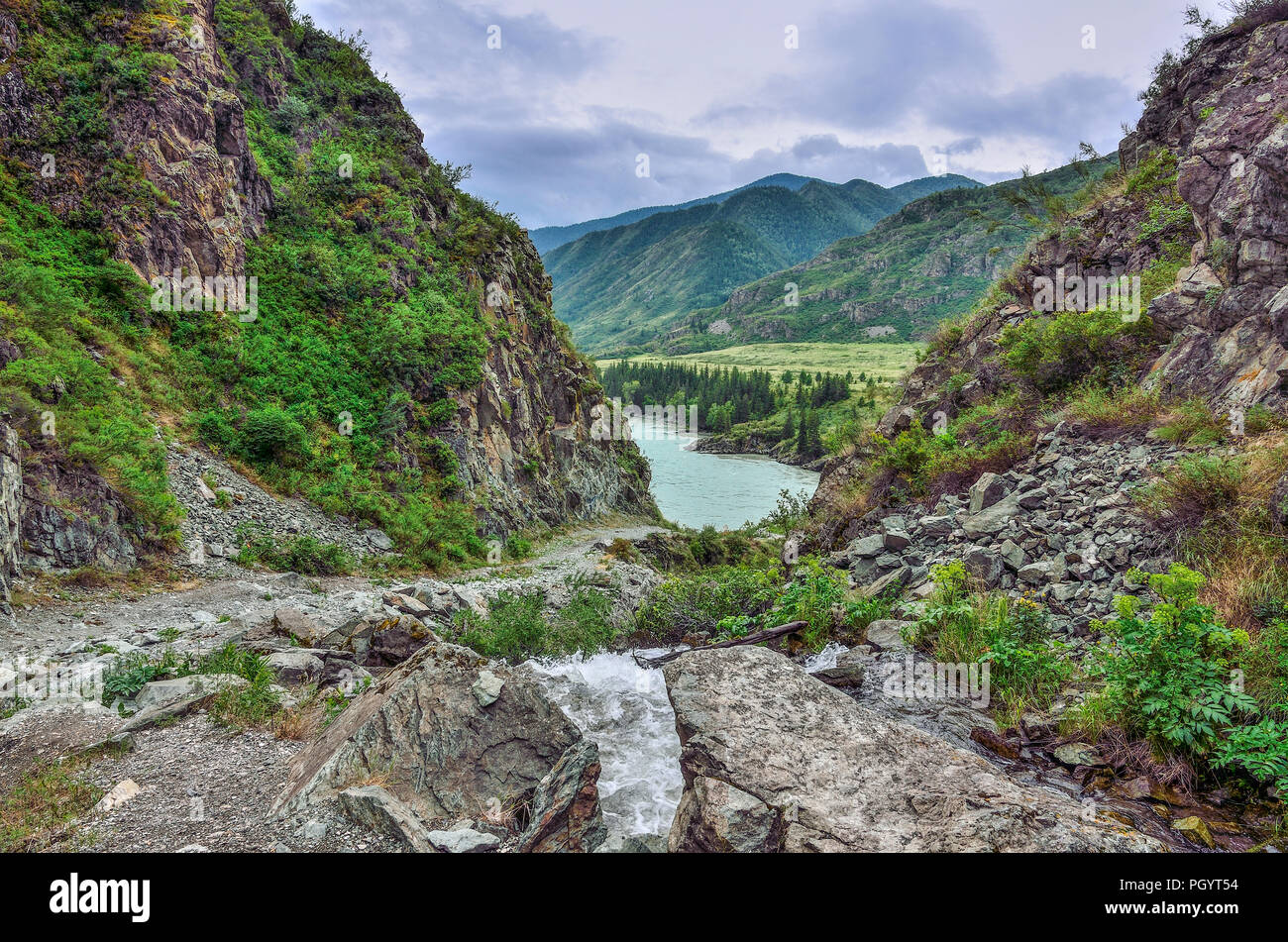 Mountain Creek coule sous les falaises de rochers dans le canyon entre la rivière Katun en montagnes de l'Altaï, en Russie - beau paysage d'été. Beauté de Banque D'Images