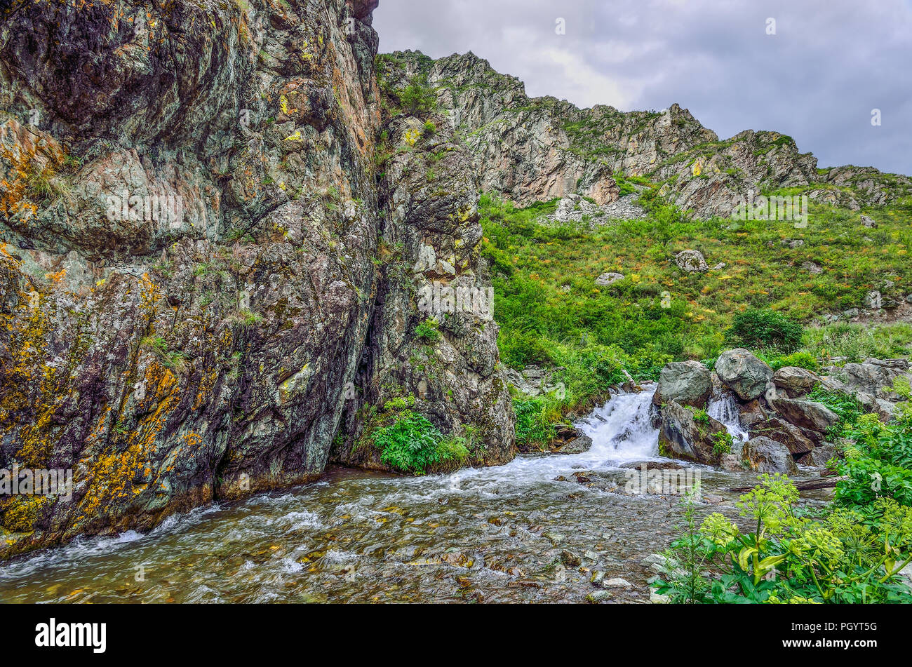 Mountain Creek coule sous les falaises de canyon entre rochers dans les montagnes de l'Altaï, en Russie - beau paysage d'été. Beauté de la nature sauvage Banque D'Images