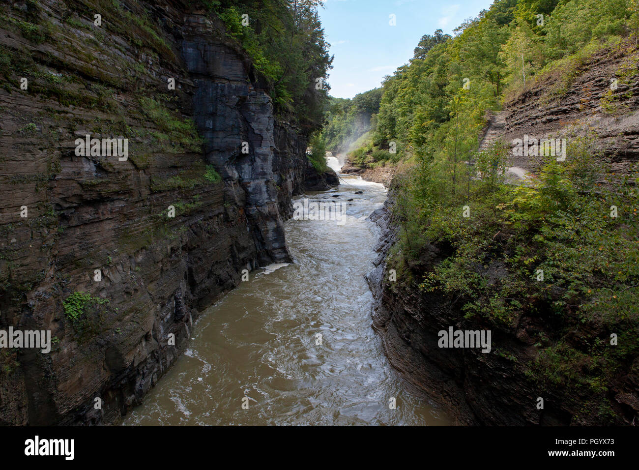 La rivière Genesee passe par une gorge à Letchworth State Park en Castille, NY, USA. Banque D'Images