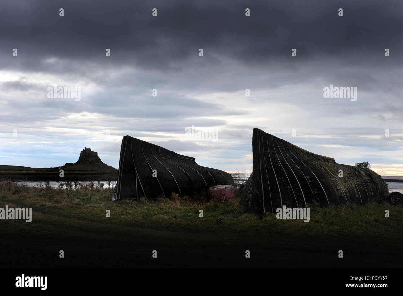 Bateaux à tartelette noire utilisés comme hangars sur l'île Sainte, Northumberland, Angleterre, Royaume-Uni. Château de Lindisfarne en arrière-plan Banque D'Images