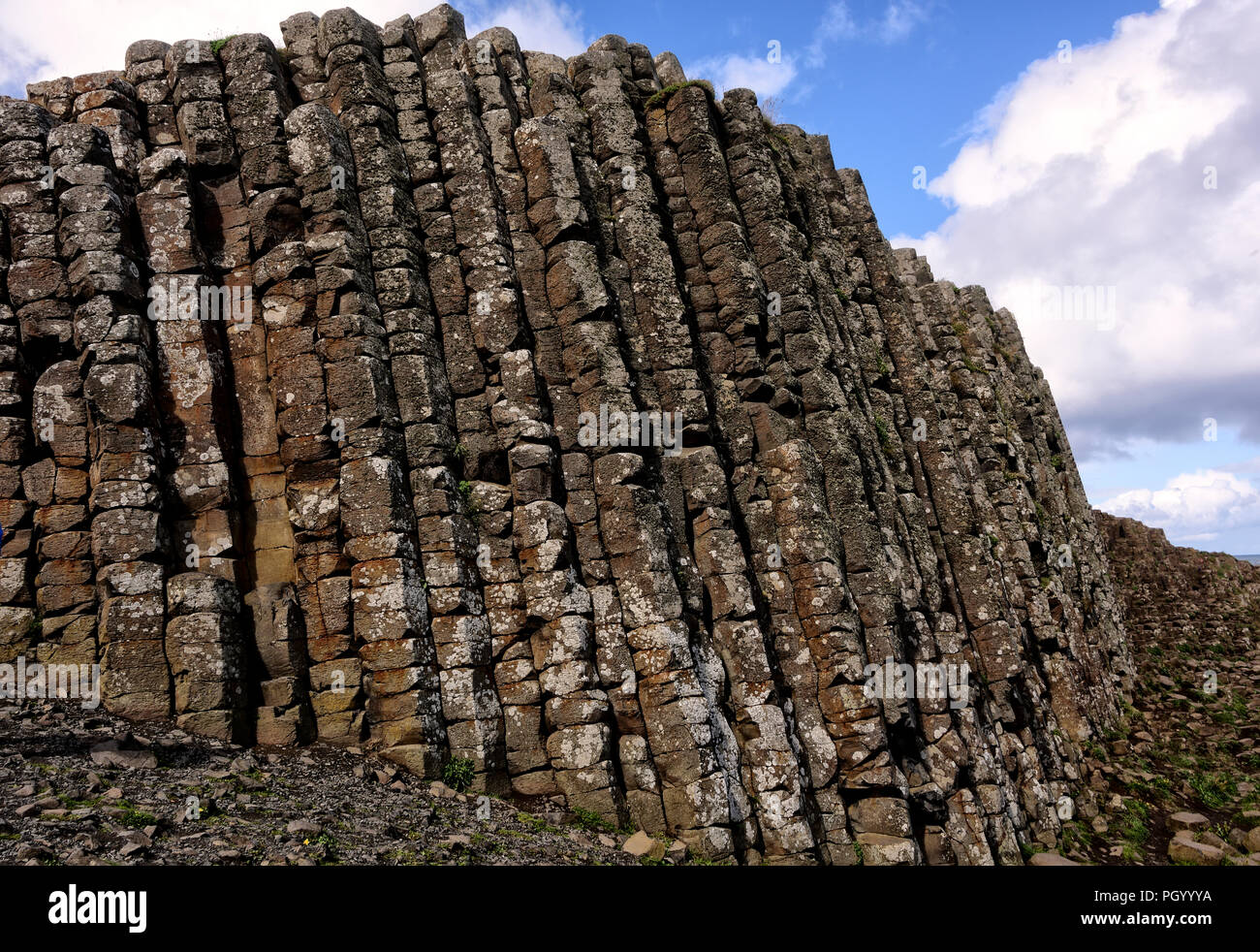 Chaussée des Géants, en Irlande du Nord, un littoral rempli de colonnes de basalte de verrouillage, les vestiges d'une ancienne éruption fissures volcaniques Banque D'Images
