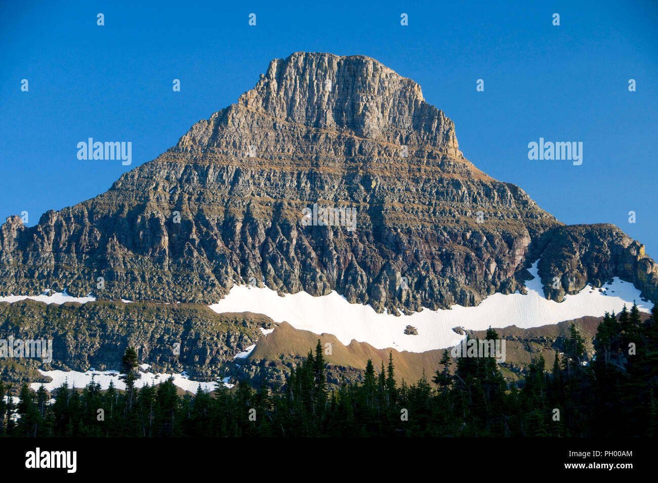 Vue sur le mont Logan Pass Reynolds, Glacier National Park, Montana Banque D'Images