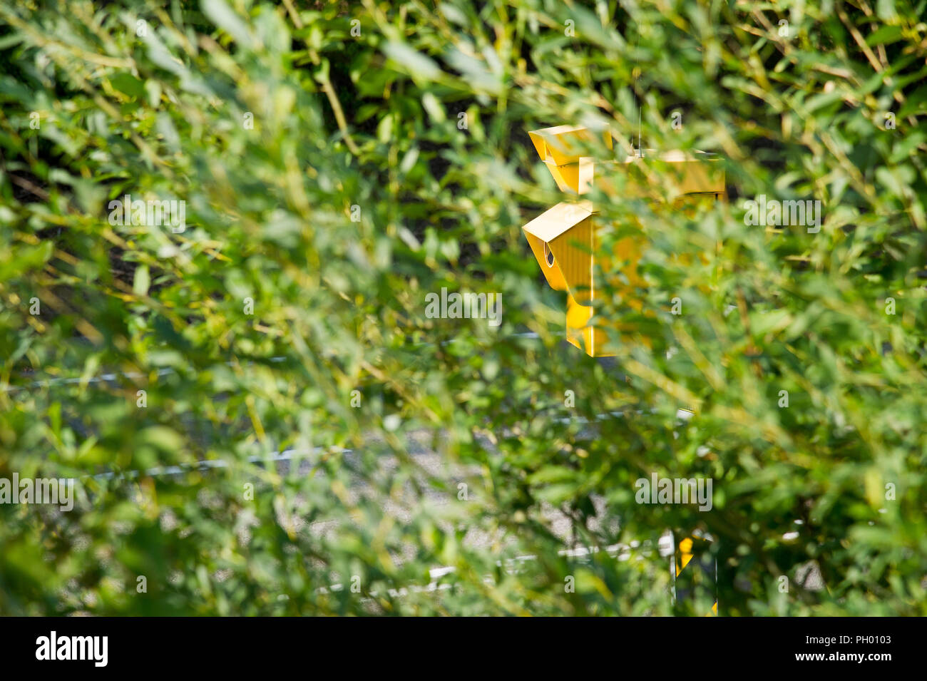 L'application du code de la caméra en Pologne. 23 août 2018 © Wojciech Strozyk / Alamy Stock Photo Banque D'Images