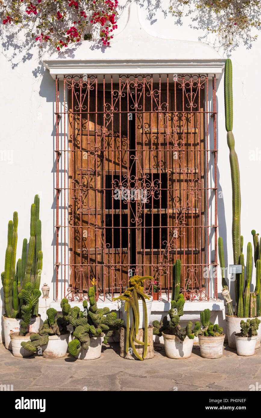 Des cactus, des bougainvillées, des couvre-fenêtres en fer forgé dans le patio au Museo Larco de Lima, Pérou. Banque D'Images