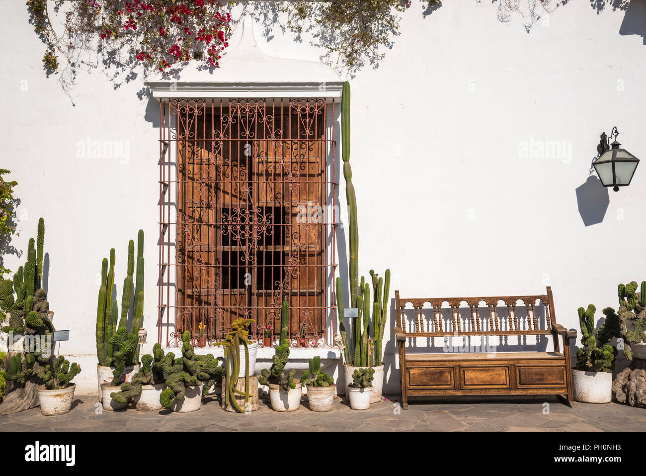 Cactus, bougainvillées, fer forgé et menuiserie dans le patio au Museo Larco de Lima, Pérou. Banque D'Images