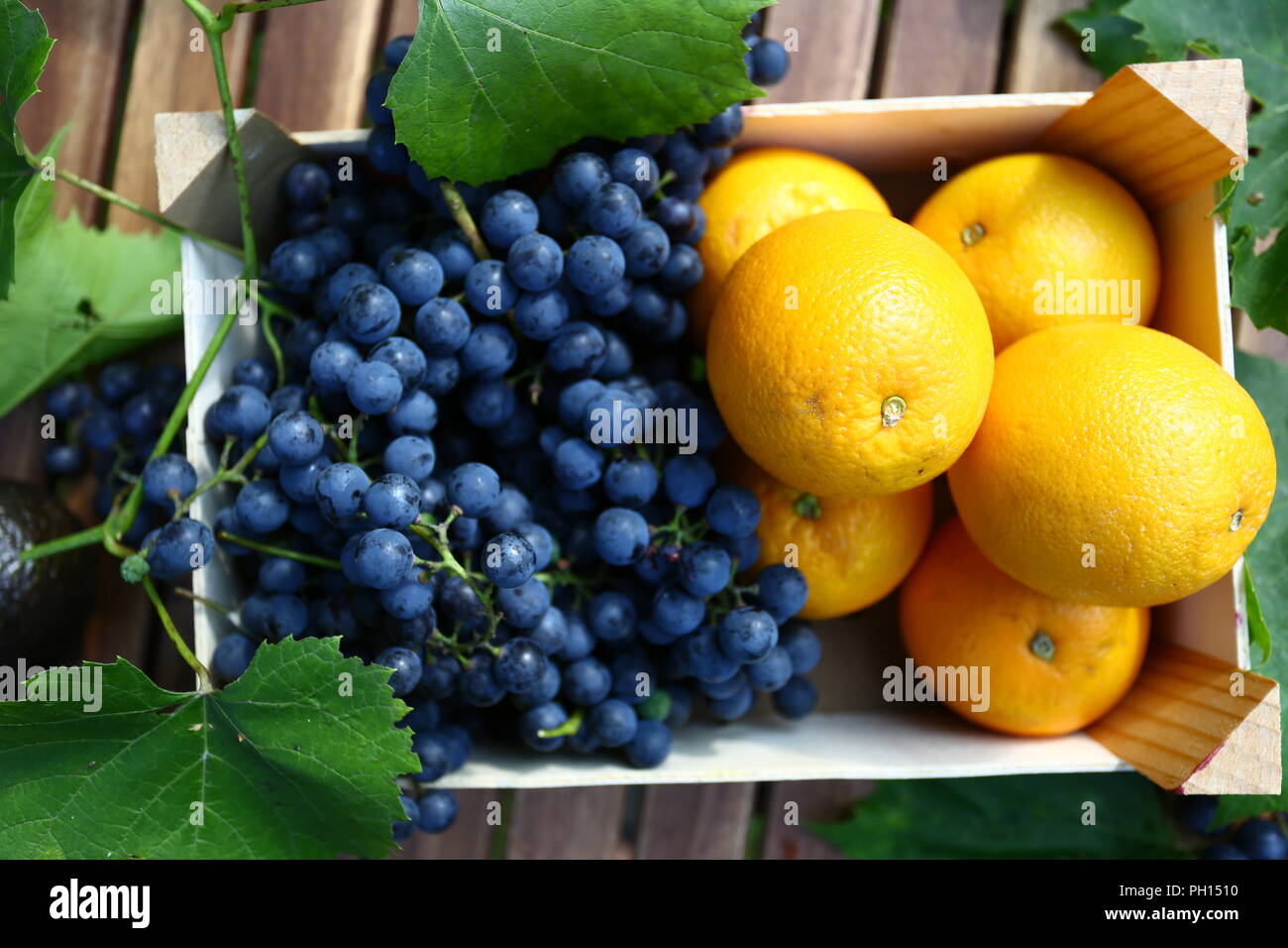 L'alimentation : les raisins, les oranges et les bananes Banque D'Images