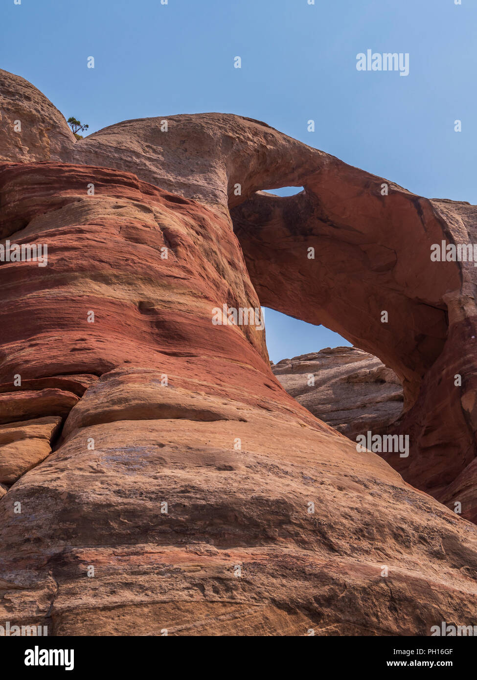 Trou dans le Pont arches Canyon de Rattlesnake Black Ridge