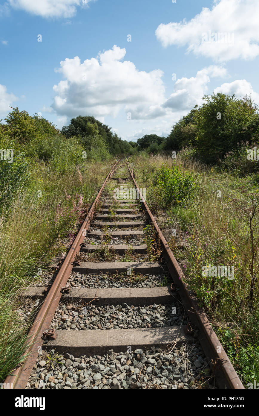 La direction générale de la végétation, des lignes de chemin de fer désaffectée près de Lancashire Fleetwood dans sous le soleil d'après-midi d'été. Des plans sont en place pour restaurer et l'ouvrir à nouveau. Banque D'Images