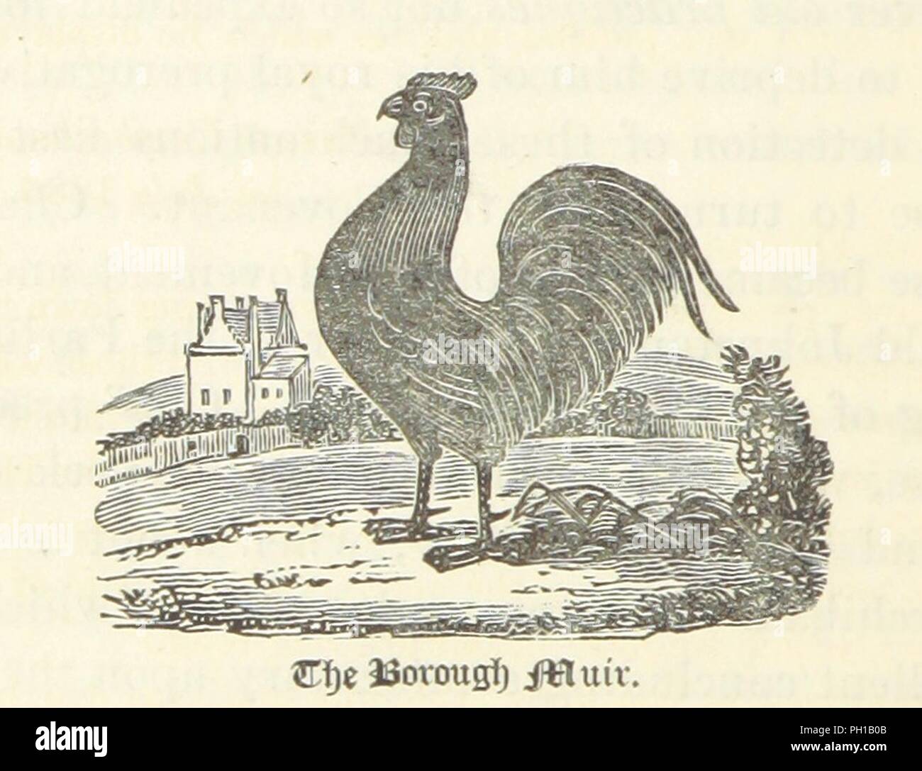 Libre à partir de la page 'Montrose de 1140 et les Covenantaires ; leurs personnages et de conduite. Illustré par des lettres et autres documents non publiés jusqu'à présent .' . Banque D'Images