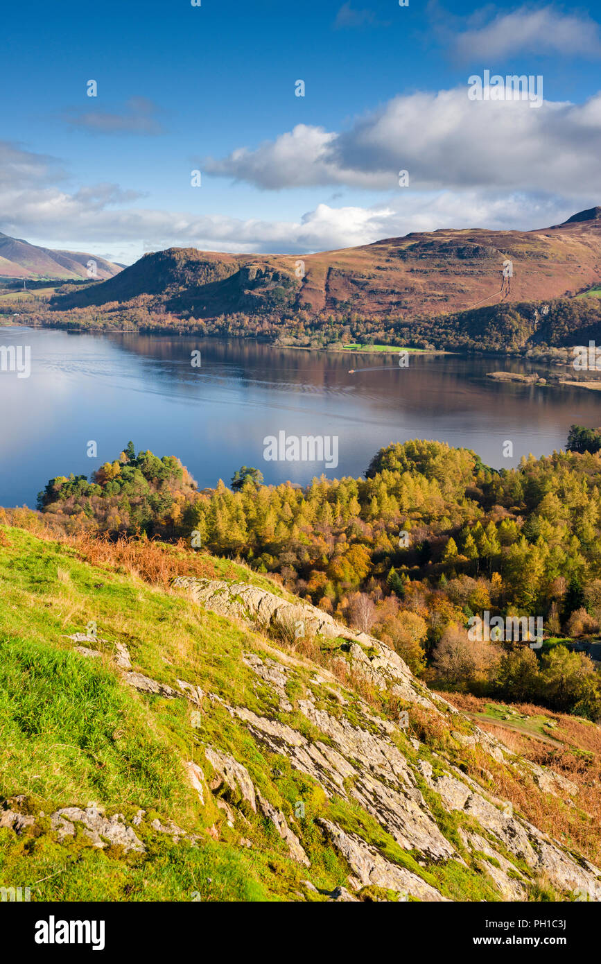 Vue sur Parc Manesty Derwent Water et de la pente est de Catbells dans le Parc National du Lake District, Cumbria, Angleterre. Banque D'Images