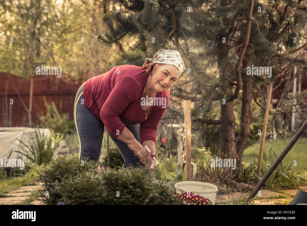 Cheerful senior women working in garden jardinier Banque D'Images