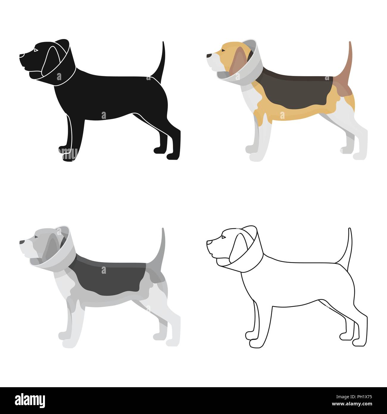 Chien Avec Collier élisabéthain Dans Icône Design Dessin