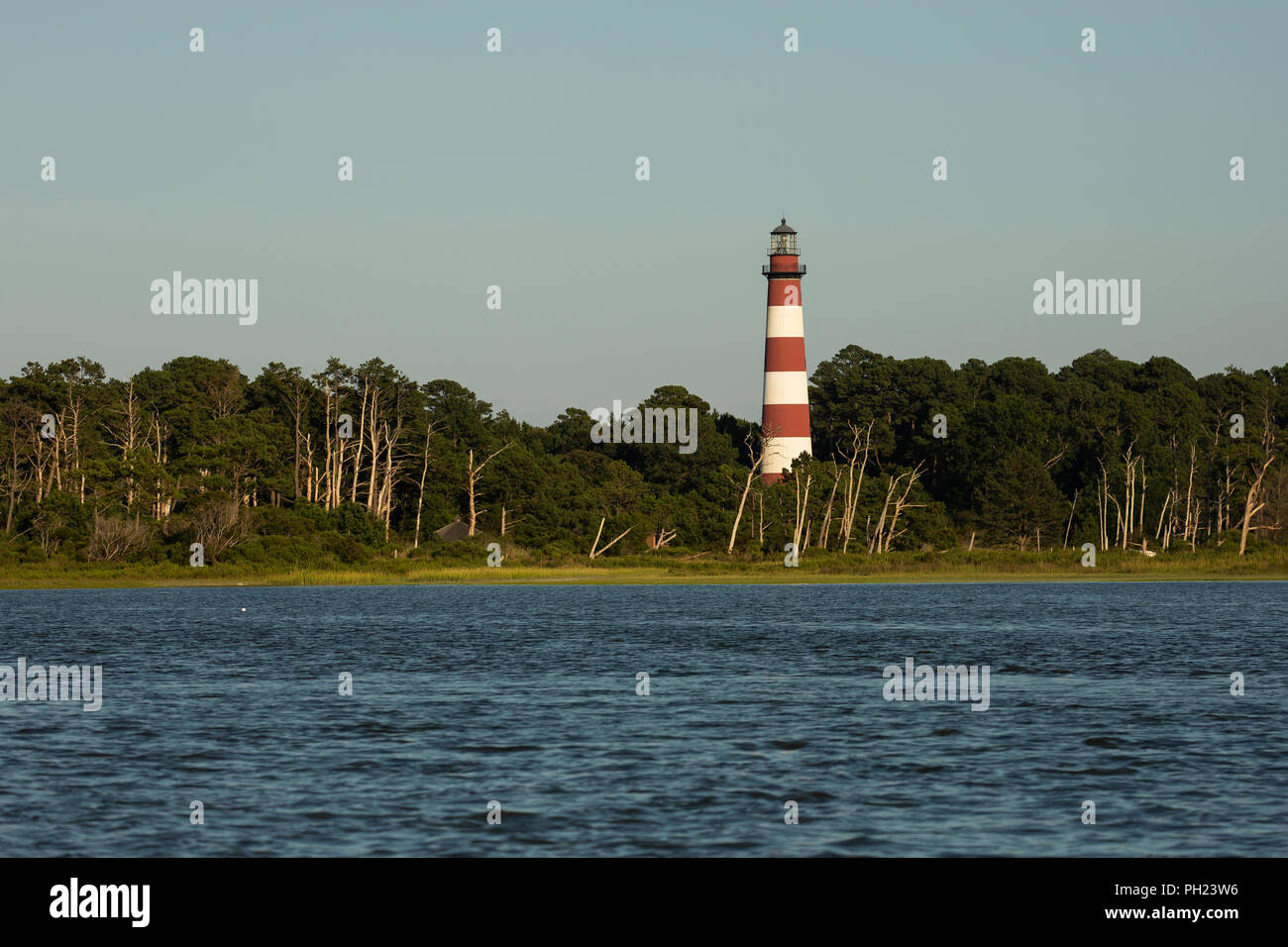 Assateague Lighthouse sur Assateague Island dans le Chincoteague National Wildlife Refuge sur la rive est de la Virginie. Banque D'Images