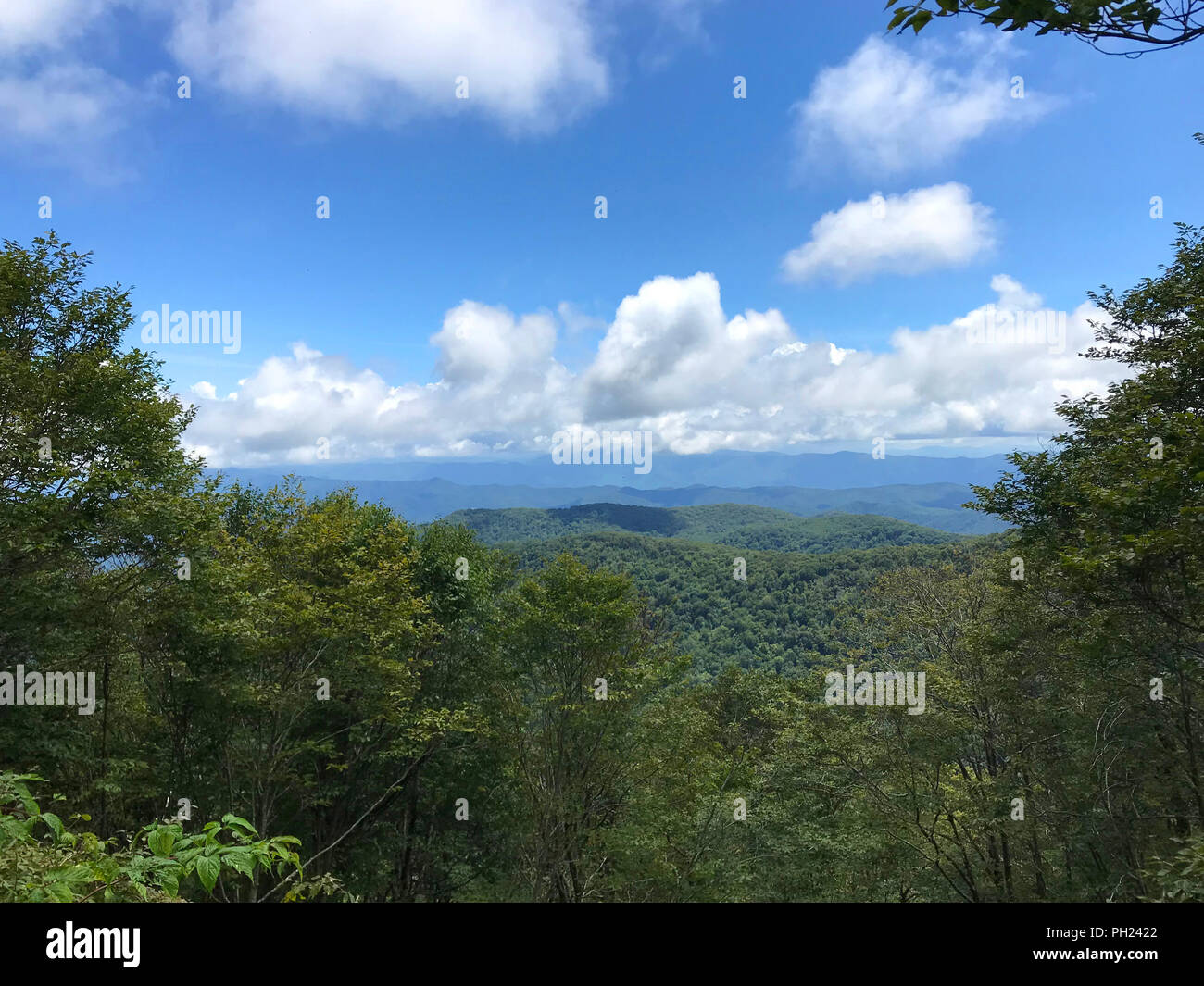 Belle vue sur la montagne de Hooper au large de la Chauve Cherohala Skyway en Caroline du Nord. Banque D'Images