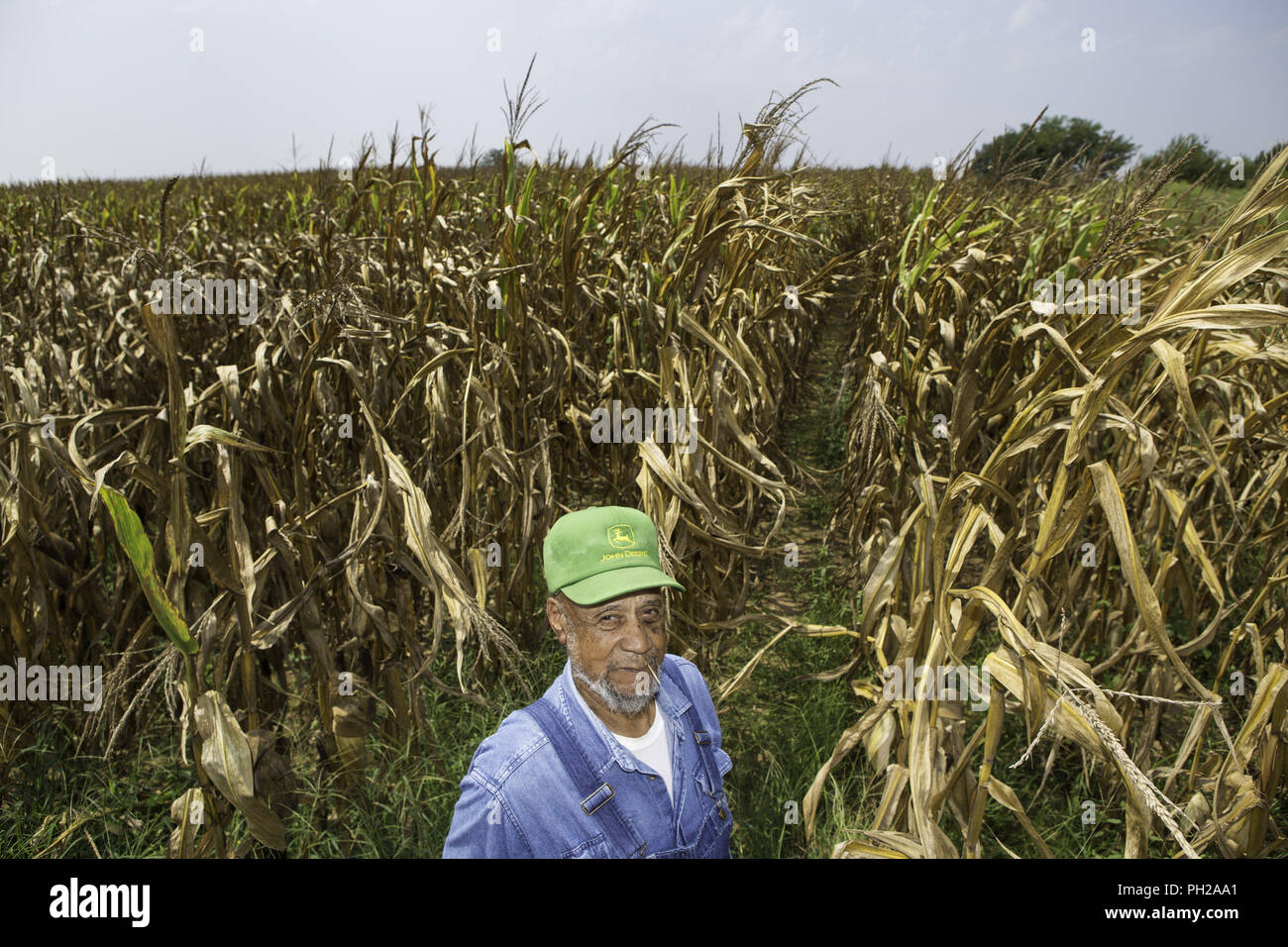 Lyles Indiana Usa Aout 25 18 Norman Greer 8 Un Agriculteur Americain Africain Se Trouve Dans Son Champ De Mais Ou Il Possede 52 Hectares De Fermes Et De 300 Acres Dans