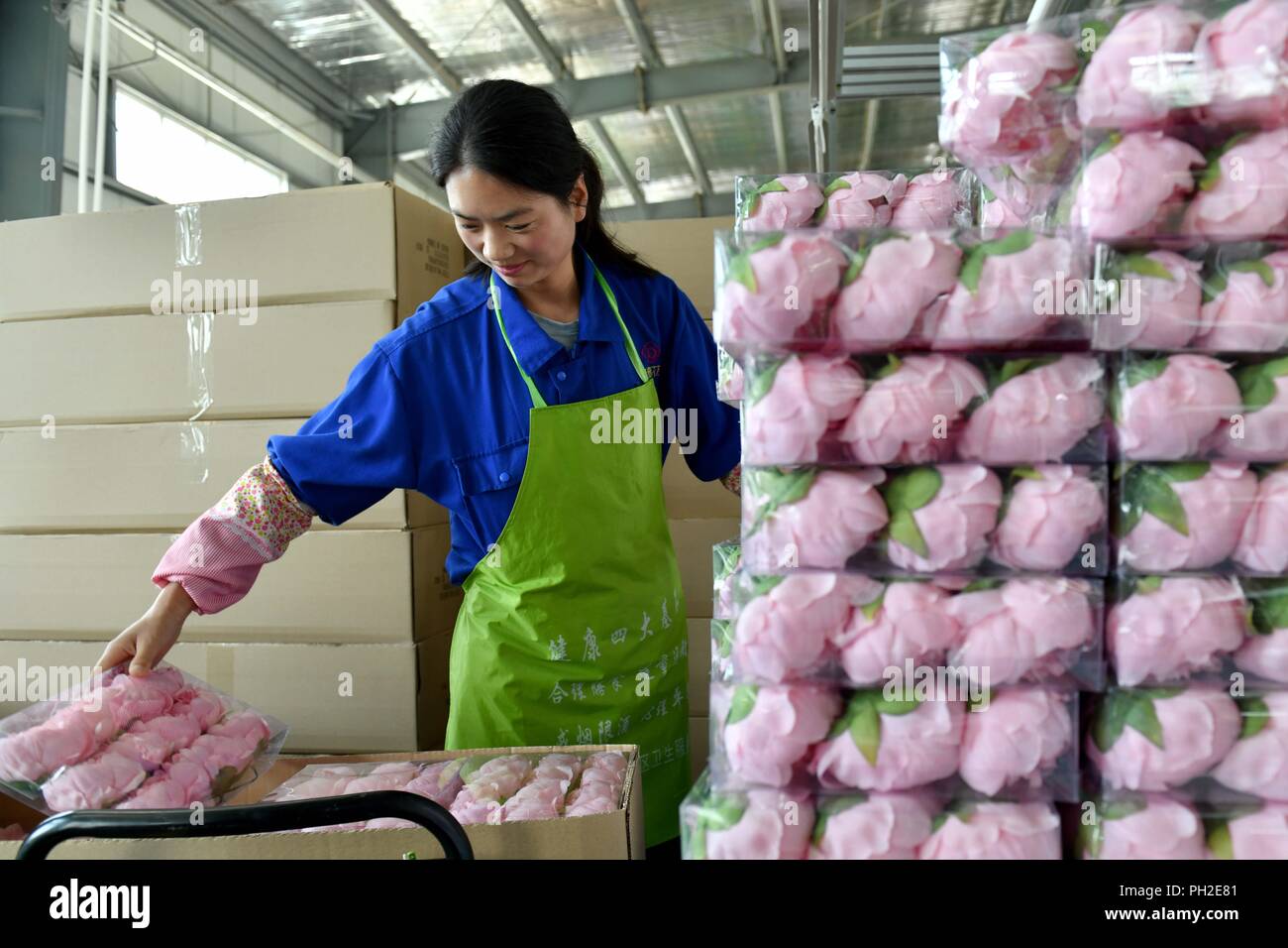 (180830) -- GUYUAN, 30 août 2018 (Xinhua) -- un travailleur packs fleurs artificielles lors d'un atelier dans le comté de Longde, nord-ouest de la Chine, région autonome du Ningxia Hui, 29 août, 2018. L'entreprise de faire des fleurs artificielles a été introduit à partir du sud-est de la province de Fujian en Chine en 2013. Les produits sont principalement exportés vers l'Europe, Moyen-Orient, et Asie du sud-est, en aidant les villageois de se débarrasser de la pauvreté. (Guo Xinhua/Xulei)(gxn) Banque D'Images