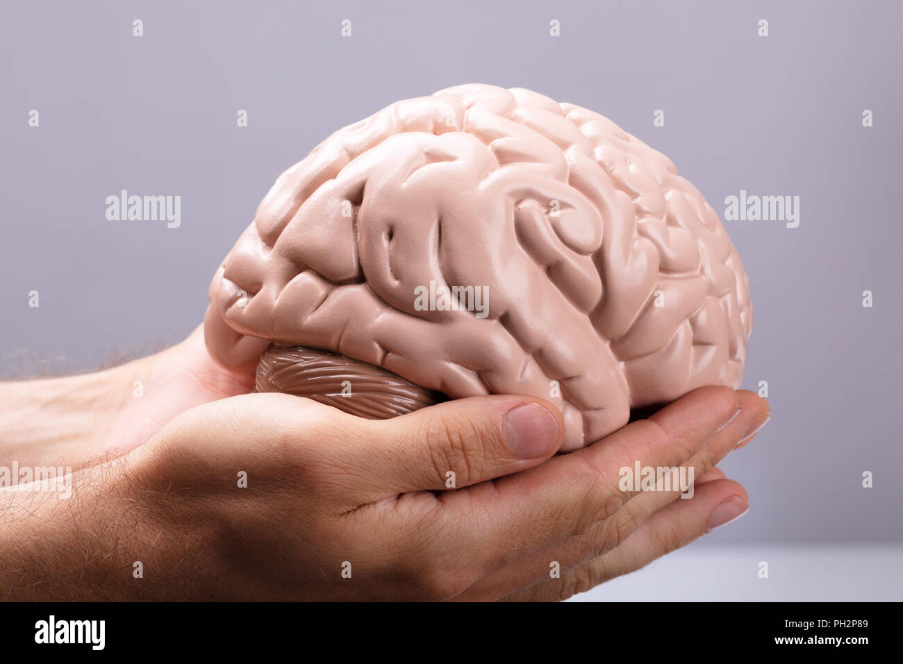 Close-up of a person's Hand Holding Modèle du cerveau humain Banque D'Images