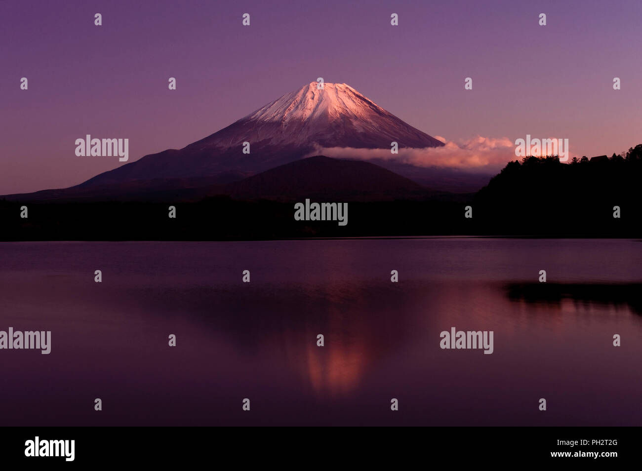 La photo montre le Mt Fuji vu de près du lac Shoji à Fujikawaguchiko Town City, préfecture de Yamanashi au Japon. L'iconique Japon Mt. et ses environs, qui Banque D'Images