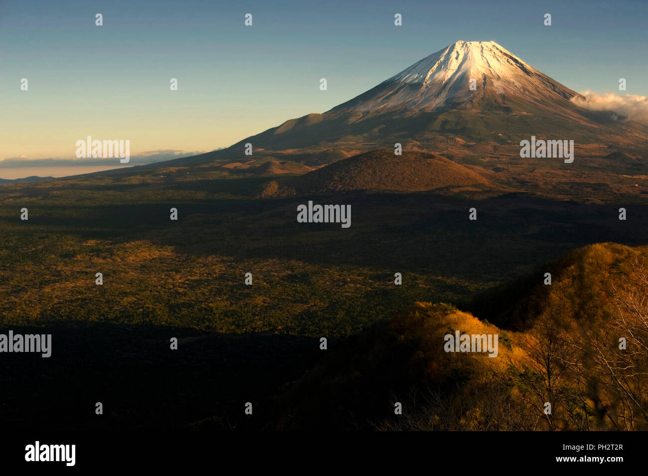 La photo montre le Mt Fuji vu de près du lac Shoji à Fujikawaguchiko Town City, préfecture de Yamanashi au Japon. L'iconique Japon Mt. et ses environs, qui Banque D'Images