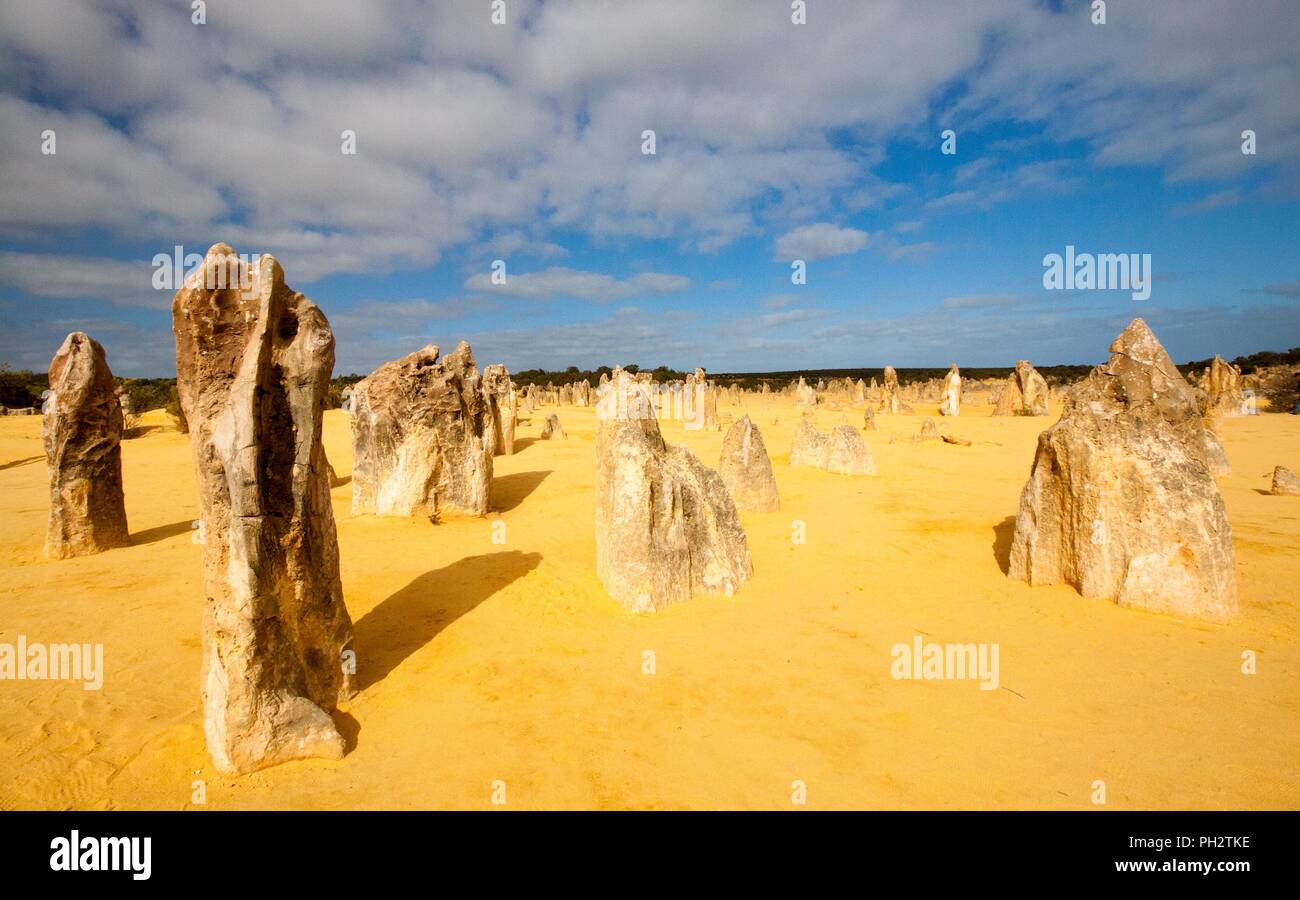 Les Pinnacles formations calcaires dans le Parc National de Nambung, Australie occidentale Banque D'Images