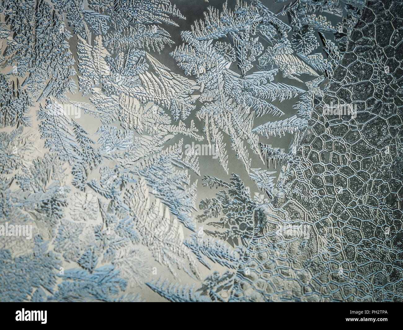 Vacances d'hiver Saison Fantasy World Concept : Macro Image d'une fenêtre en verre givré glace naturelle avec copie Espace Banque D'Images