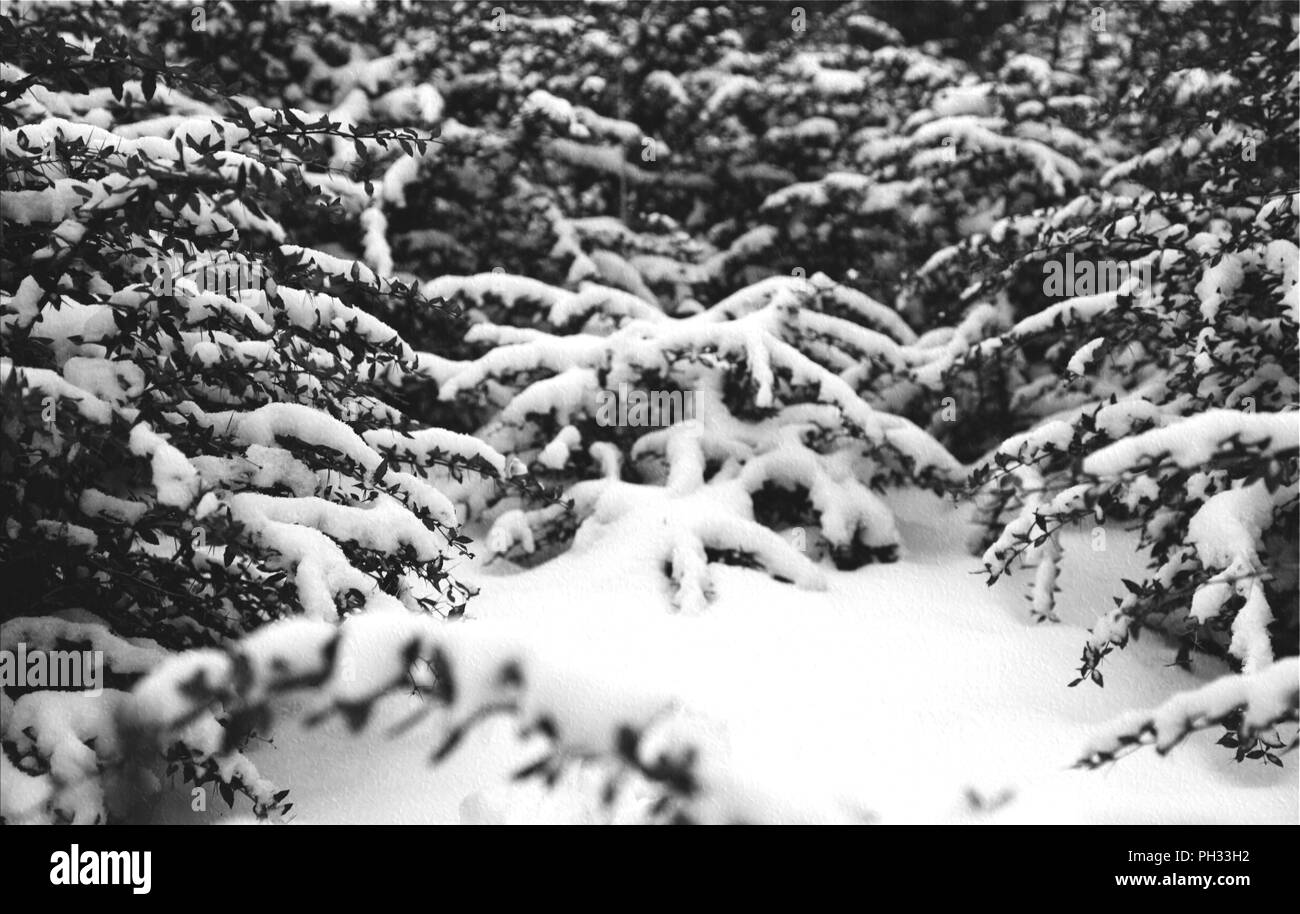 L'hiver à Alexandra Palace Banque D'Images