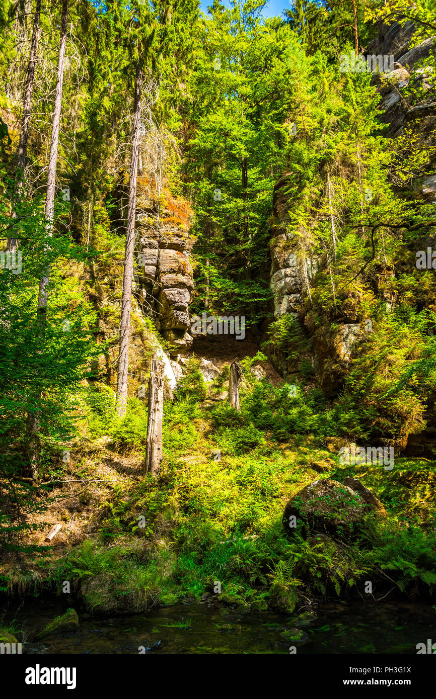 La Gorge dans Saxon-Bohemian Kamnitz Suisse, République Tchèque Banque D'Images