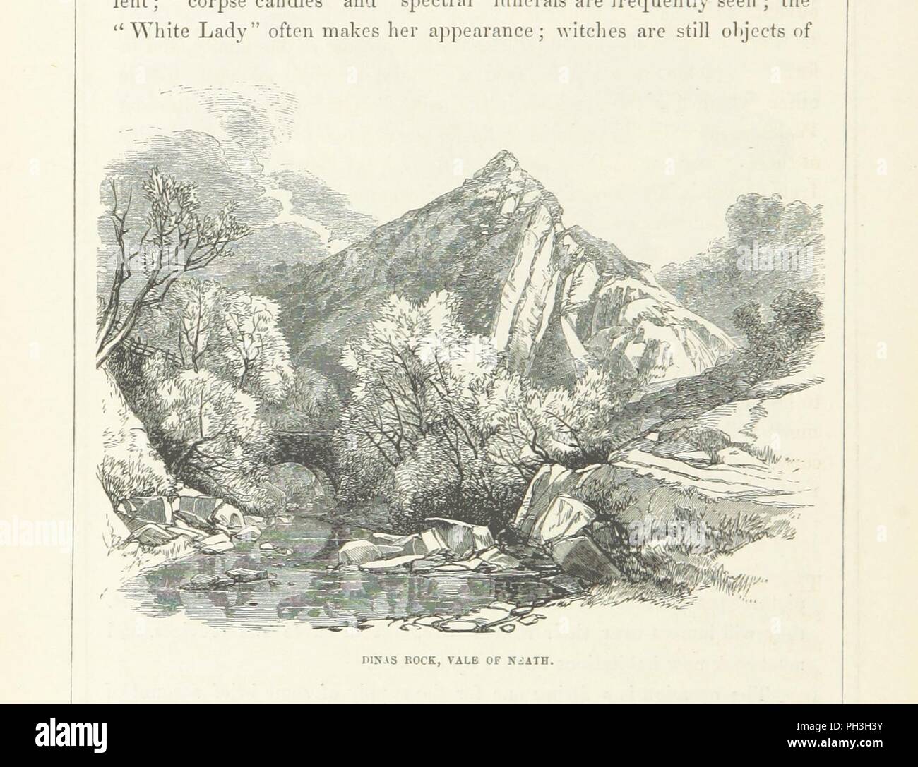 Libre à partir de la page 332 de "le livre de Nouvelle-Galles du Sud, le Wye, et la côte. [Avec des illustrations. Tiré à part de la "Art Journal."]' . Banque D'Images