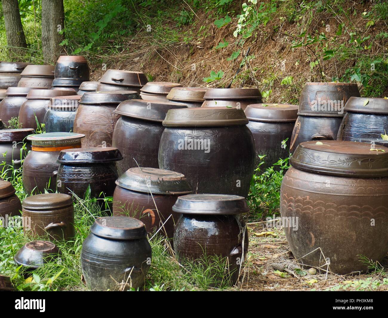 La tradition coréenne jar, accrocher-ali Banque D'Images