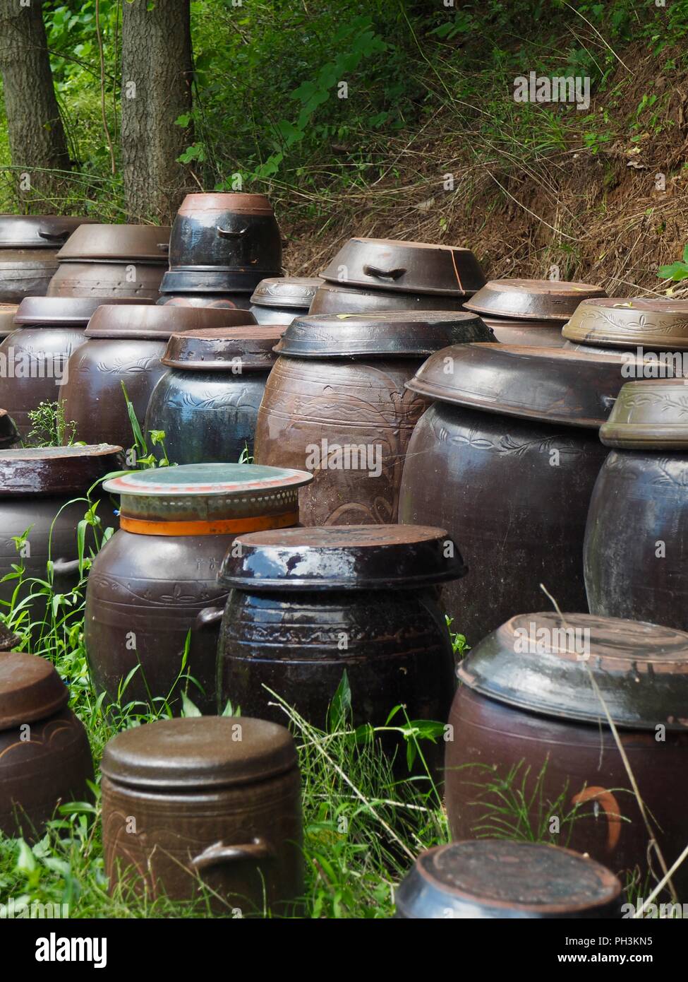 La tradition coréenne jar, accrocher-ali Banque D'Images