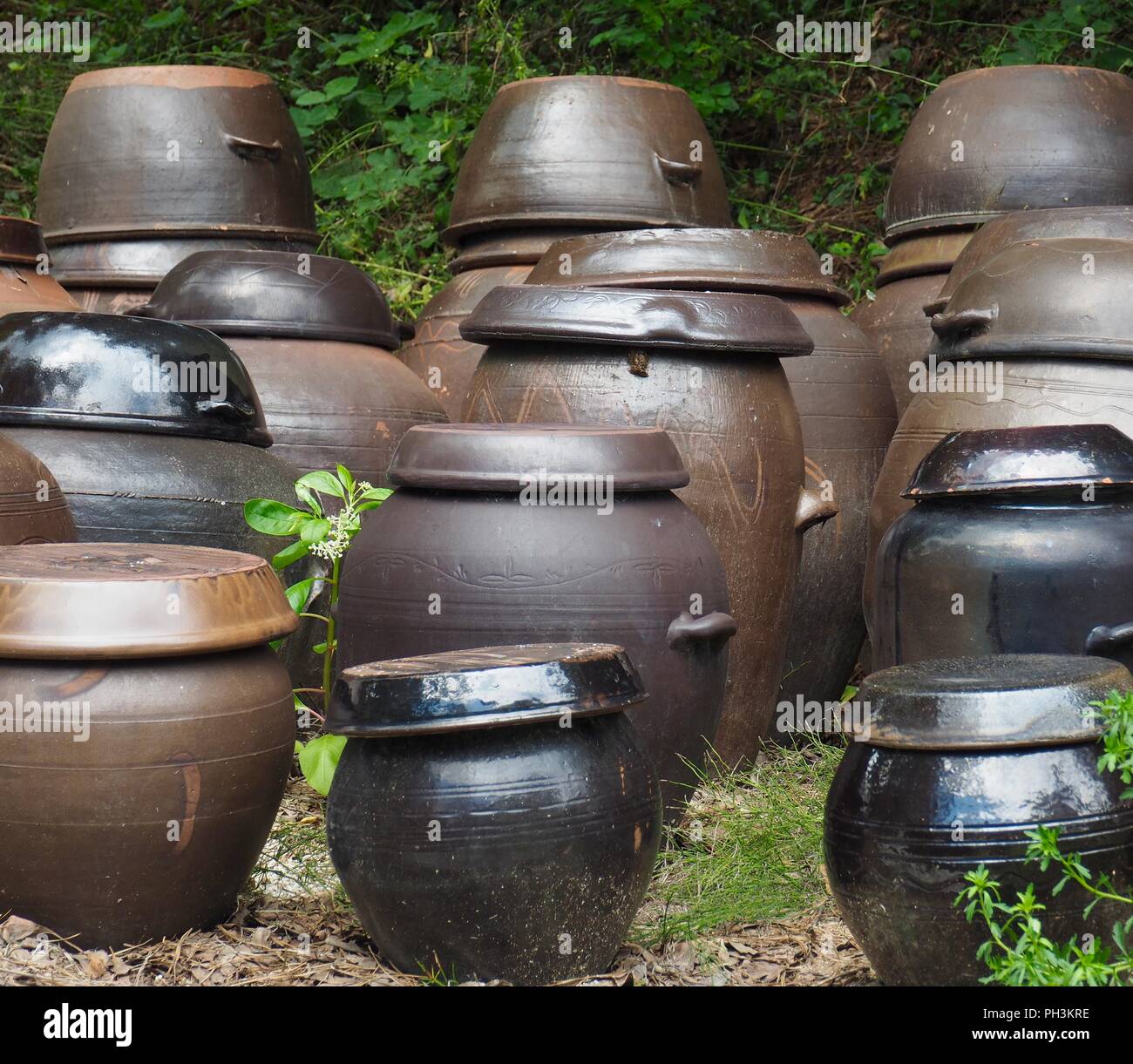 La tradition coréenne jar, accrocher-ali Banque D'Images