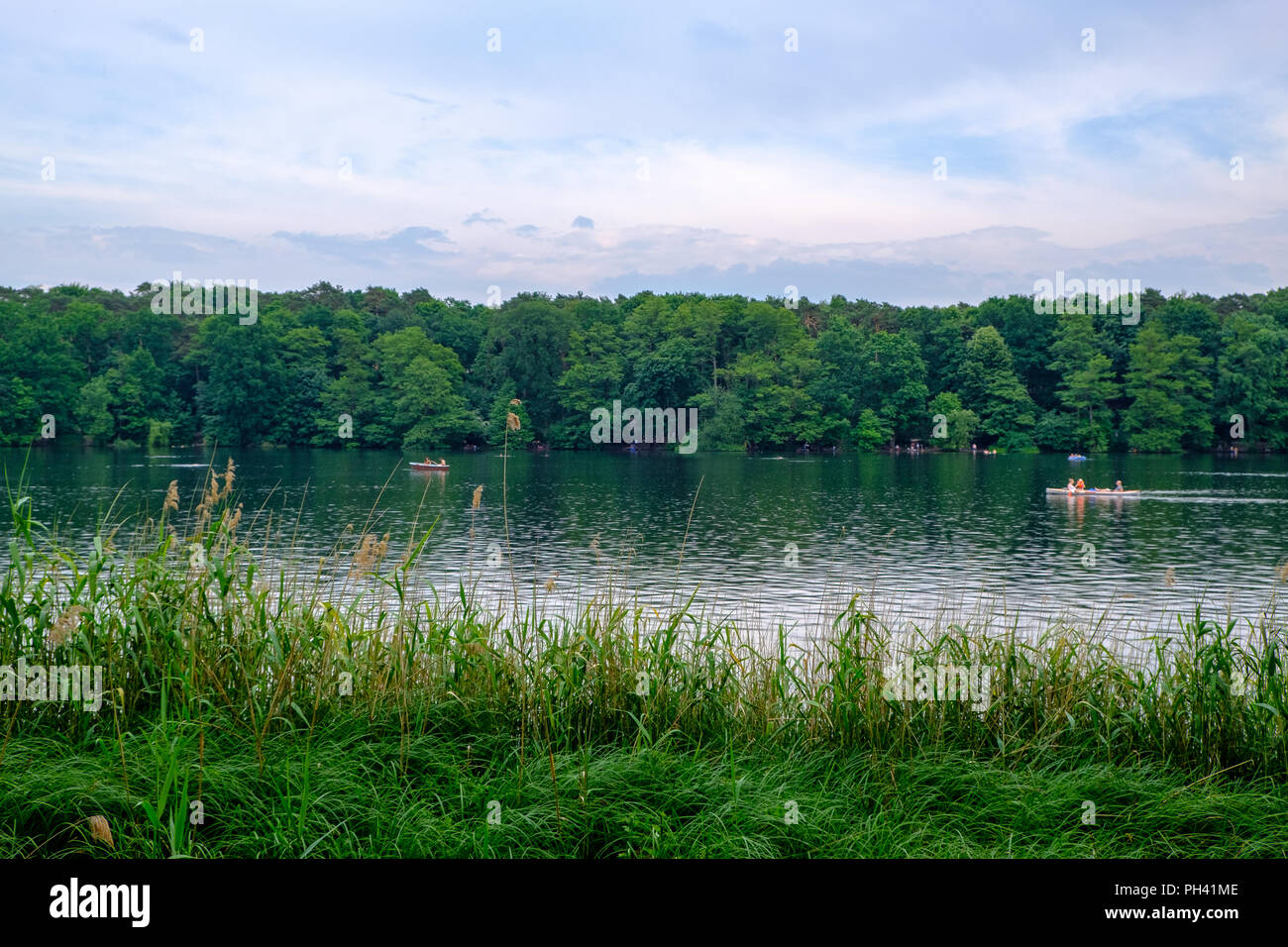 Verdure sur la rive du lac Schlachtensee à Berlin, Allemagne. Banque D'Images