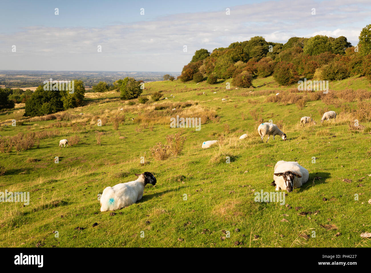 Vue sur Dover's Hill à la campagne du Warwickshire et la vallée de la Severn au soleil de l'après-midi Banque D'Images