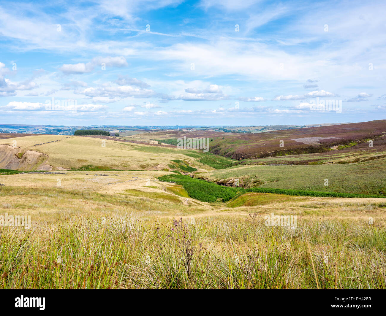 Stanbury Moor, regardant vers le bas la vallée creusée par l'Dean Beck qu'il transporte l'eau vers la Bronté Falls, dans le West Yorkshire Banque D'Images